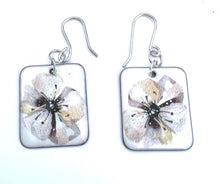 Pansy Earrings