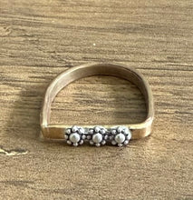 Daisy Chain D Ring