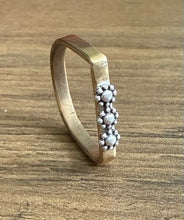 Daisy Chain D Ring